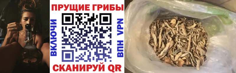 Псилоцибиновые грибы Magic Shrooms  цены   блэк спрут рабочий сайт  Елизово 